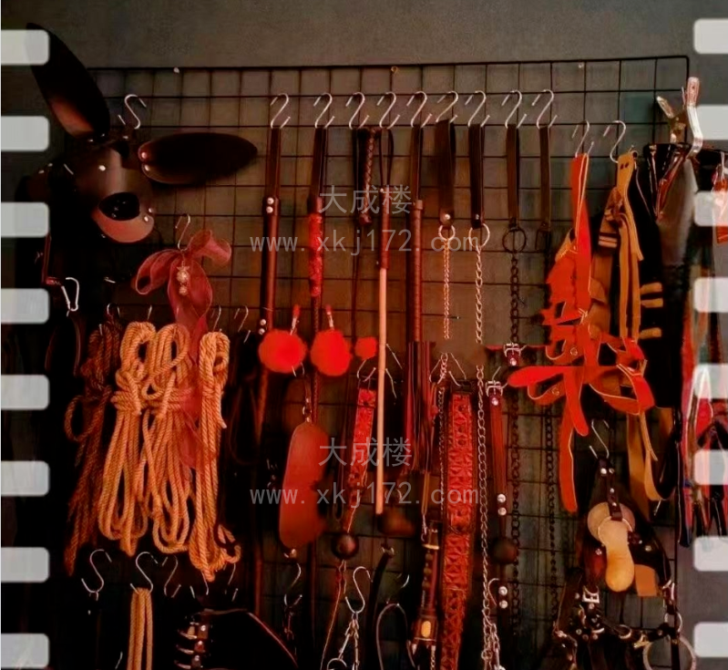 南京骚母狗可SM